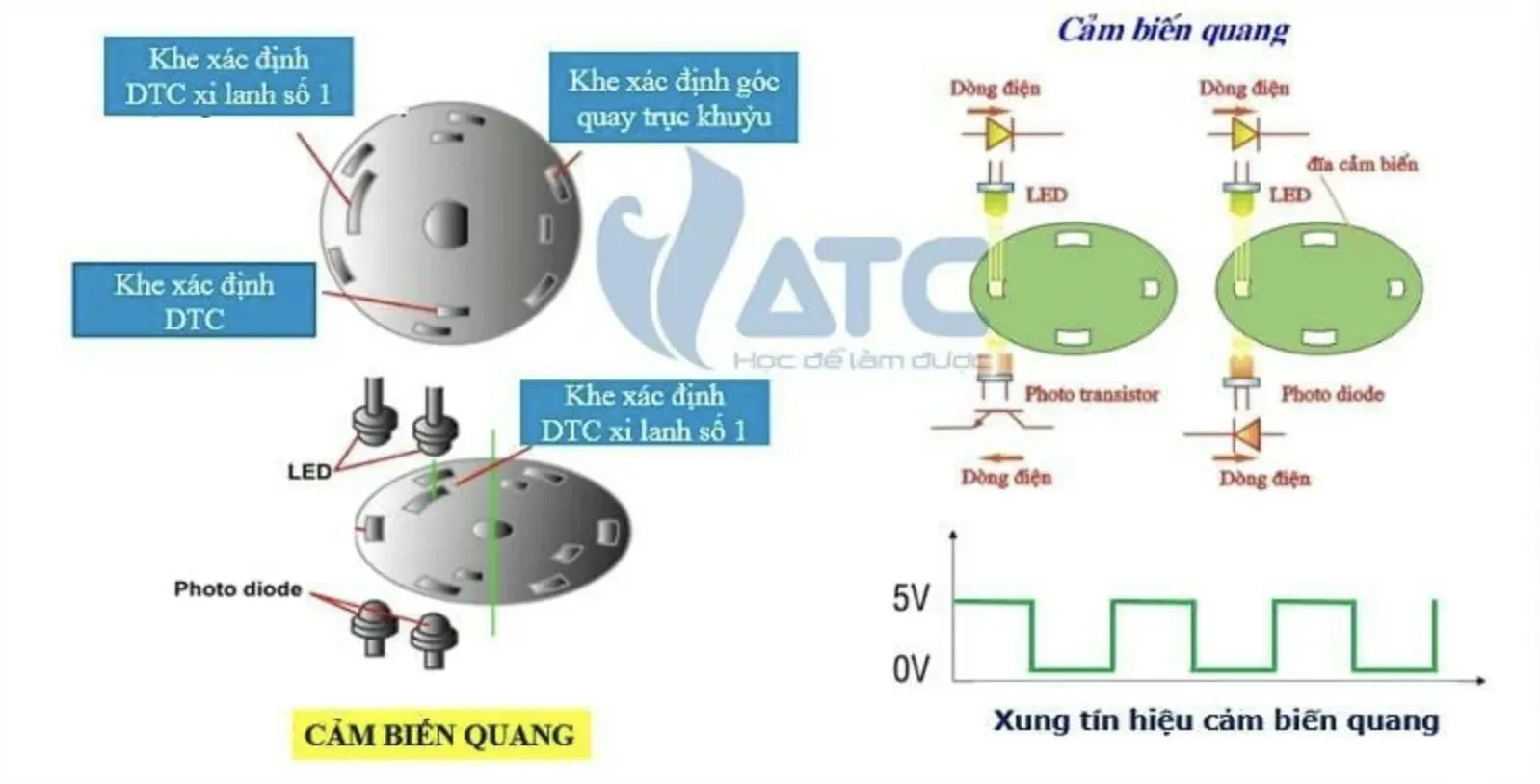 Cảm biến vị trí trục khuỷu loại quang thường nằm trong bộ chia điện