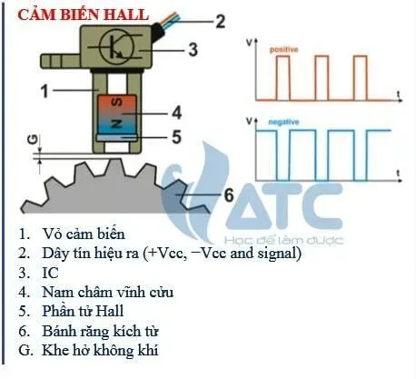 Cấu tạo cảm biến vị trí trục khuỷu sử dụng hiệu ứng Hall