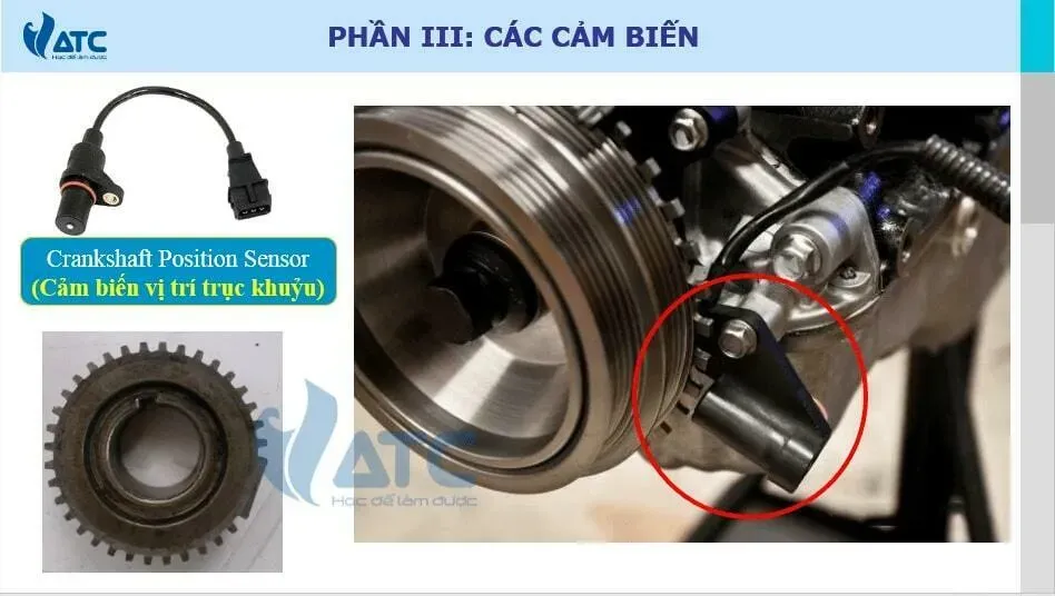 Cảm biến vị trí trục khuỷu CPS trong hệ thống điều khiển động cơ ô tô