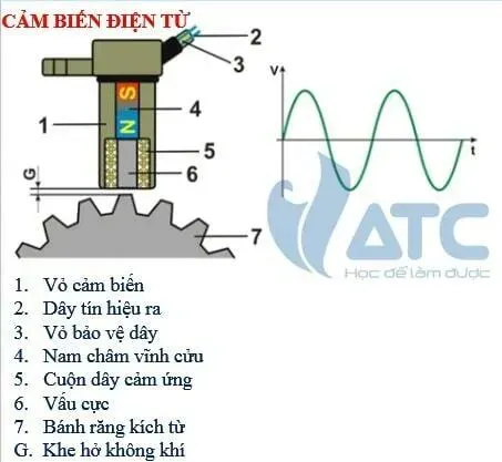 Cấu tạo chi tiết cảm biến vị trí trục khuỷu loại cảm biến từ