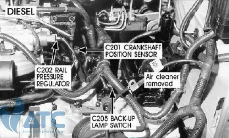 Hình ảnh vị trí thực tế cảm biến vị trí trục khuỷu trên động cơ dầu Diesel