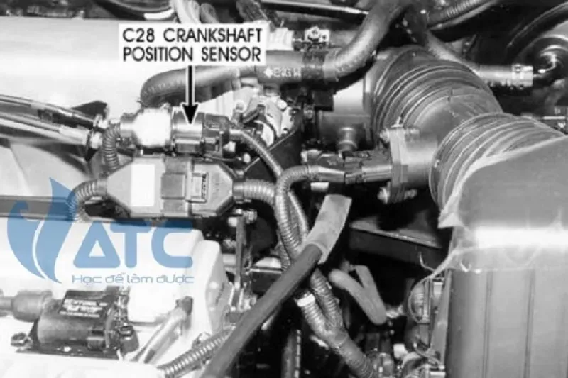 Hình ảnh vị trí thực tế cảm biến vị trí trục khuỷu trên động cơ xăng