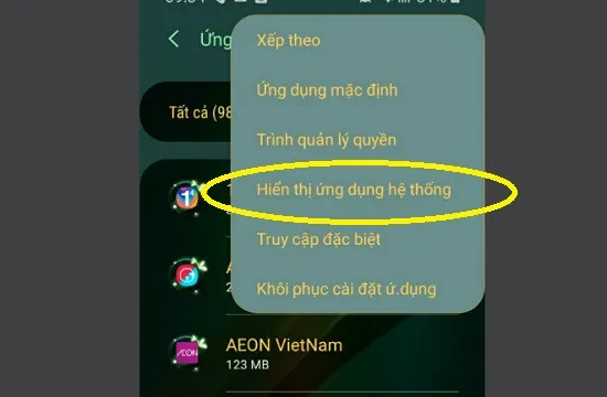 Hiển thị ứng dụng hệ thống