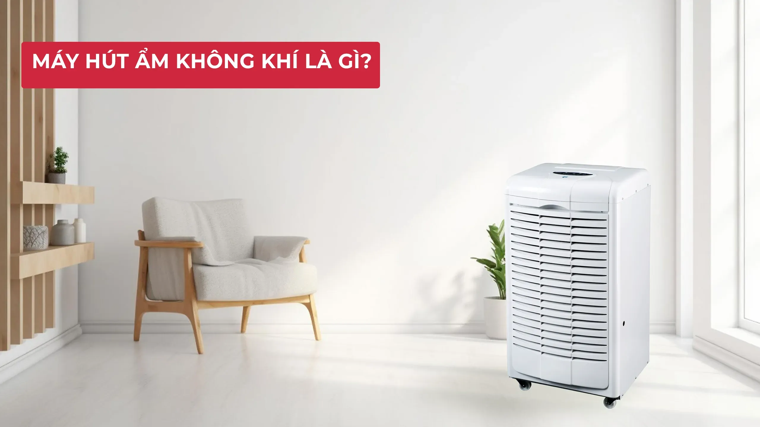 Hình ảnh minh họa nguyên lý hoạt động của máy hút ẩm được điều khiển tự động bởi Hygrostat cảm biến độ ẩm