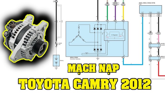 Sơ Đồ Mạch Điện Xe Toyota Camry: Hướng Dẫn Đọc Hiểu và Phân Tích Chuyên Sâu